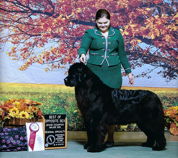 Central Ohio Kennel Club Nov 2021
