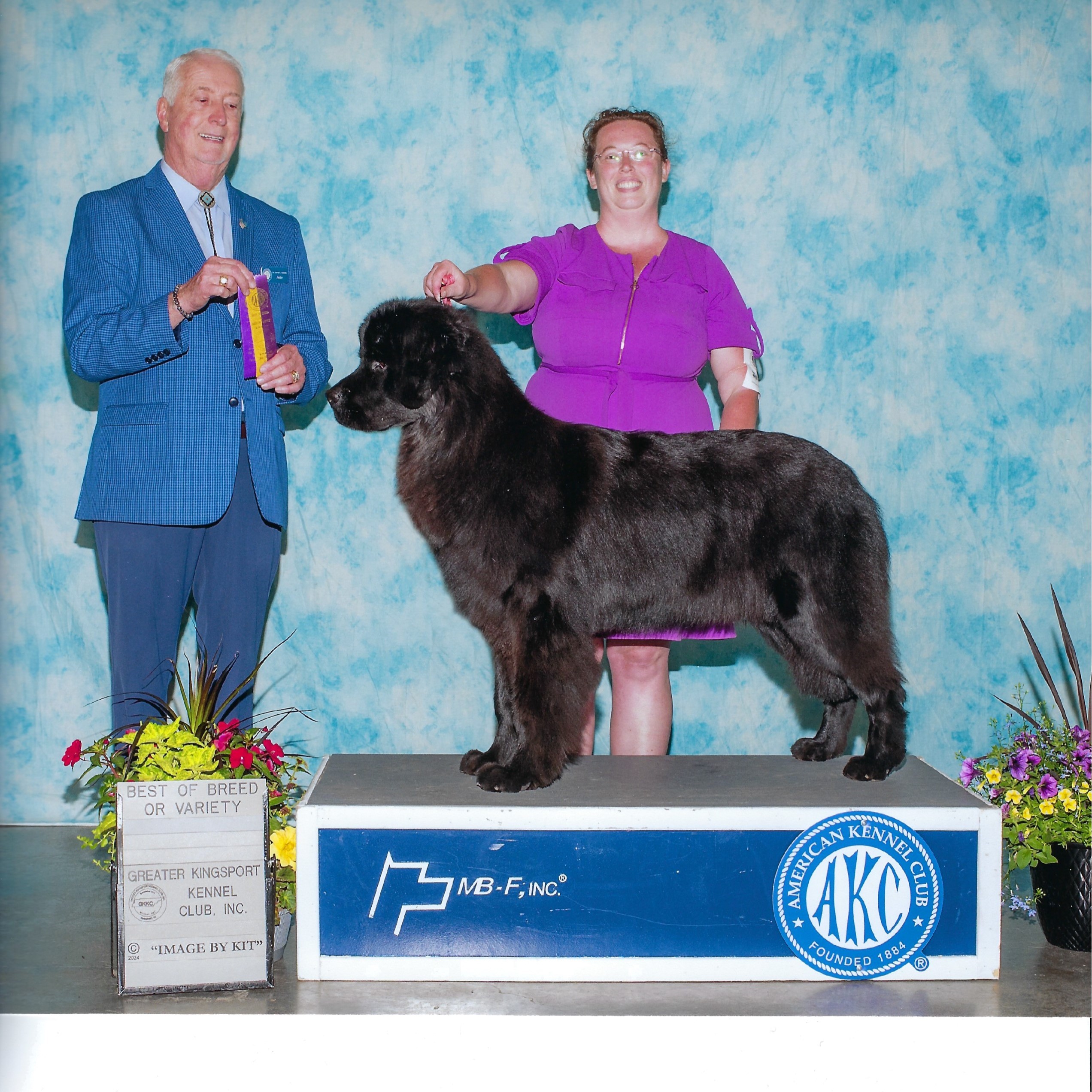 Best of Breed May 2024